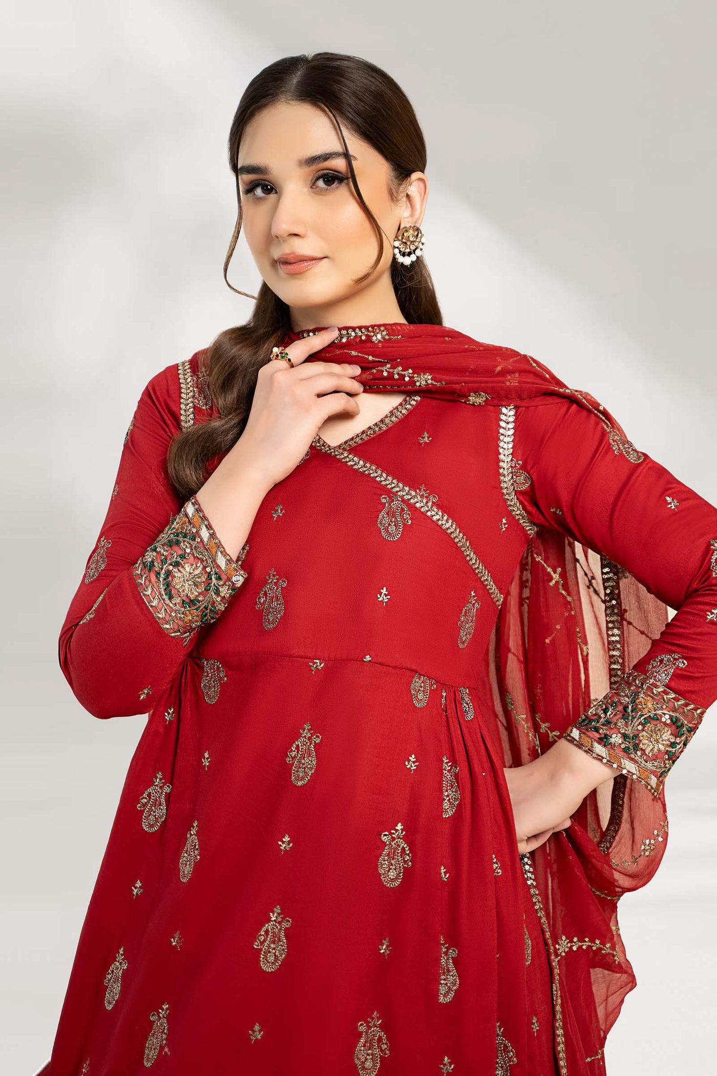 3 Piece Embroidered Cotton Net Suit | DW-EF23-85R1