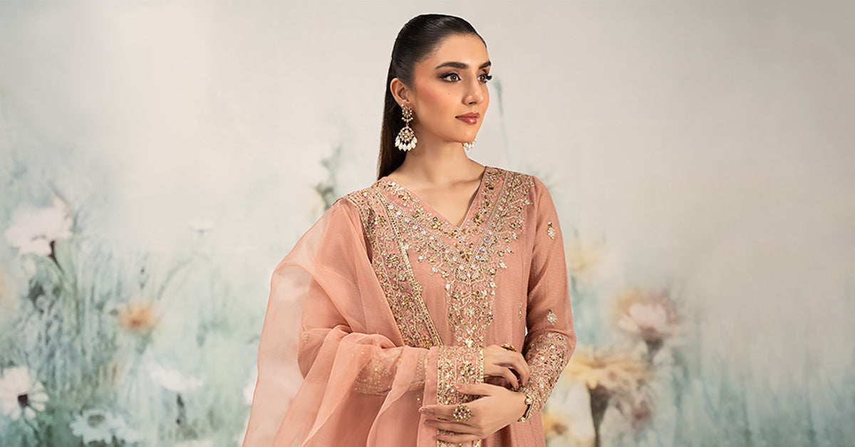 3 Piece Embroidered Cotton Net Suit | DW-EF25-88