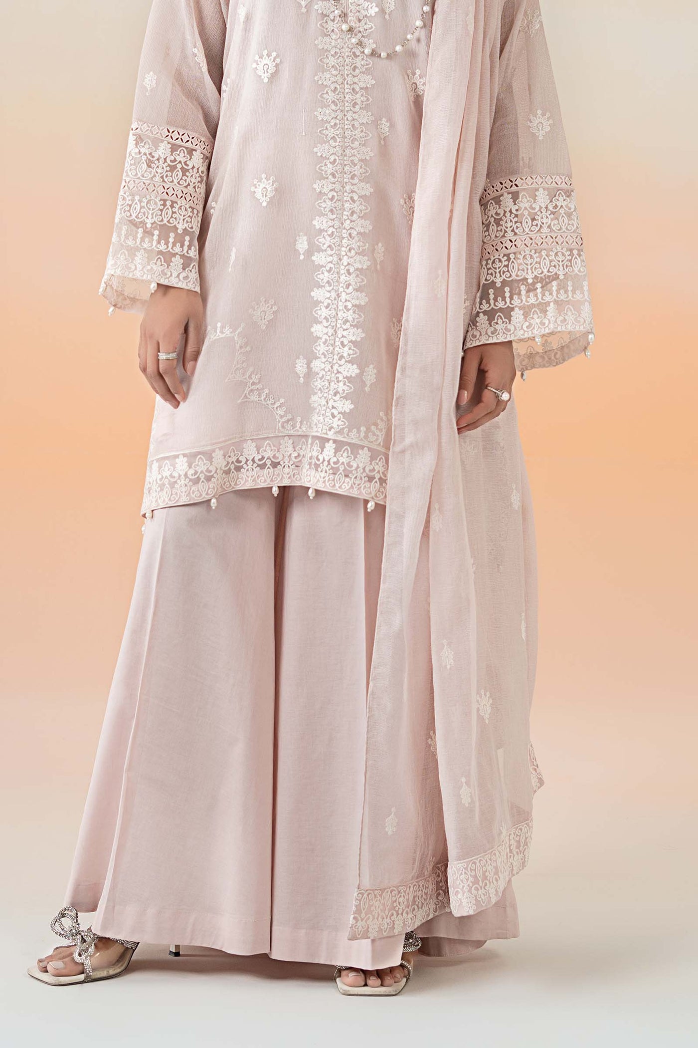 3 Piece Embroidered Cotton Net Suit | DW-EF25-92