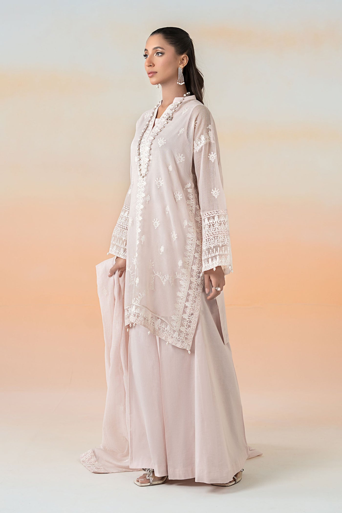 3 Piece Embroidered Cotton Net Suit | DW-EF25-92