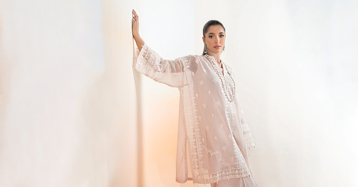 3 Piece Embroidered Cotton Net Suit | DW-EF25-92