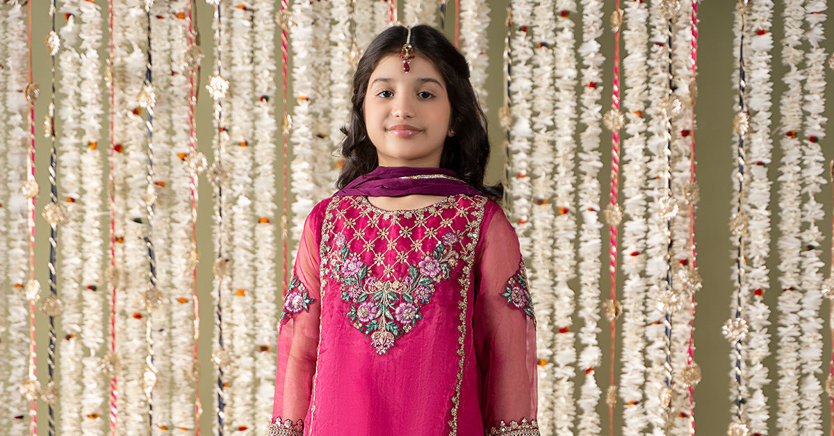 3 Piece Embroidered Organza Suit | MKS-EF25-16