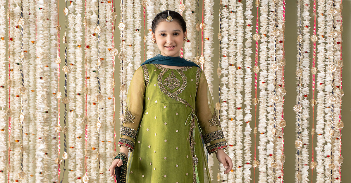 3 Piece Embroidered Organza Suit | MKS-EF25-21