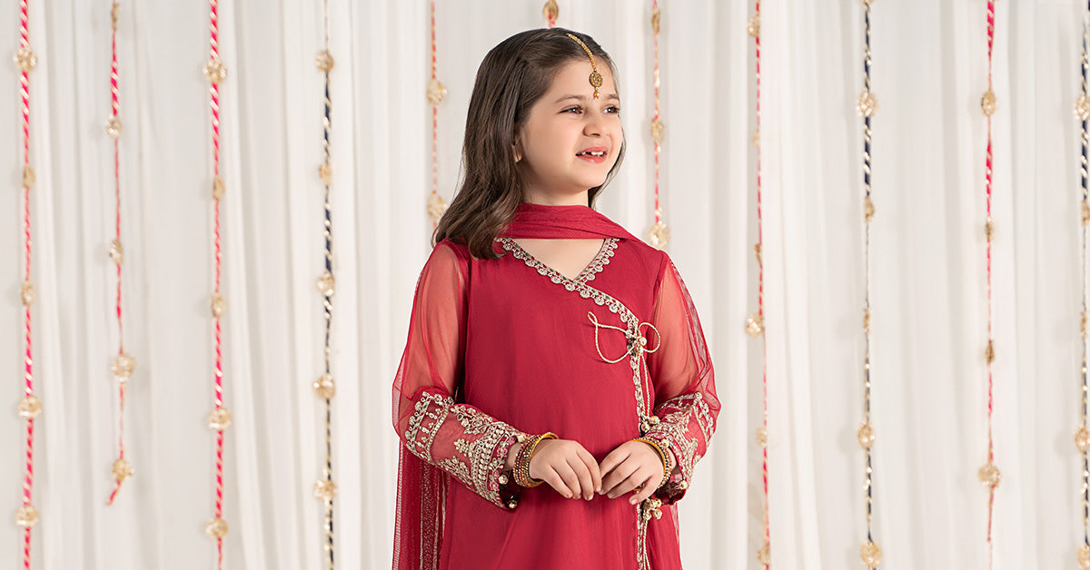 3 Piece Embroidered Polyester Net Suit | MKS-EF25-43