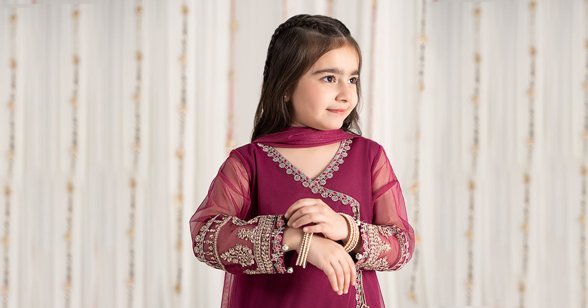 3 Piece Embroidered Polyester Net Suit | MKS-EF25-43