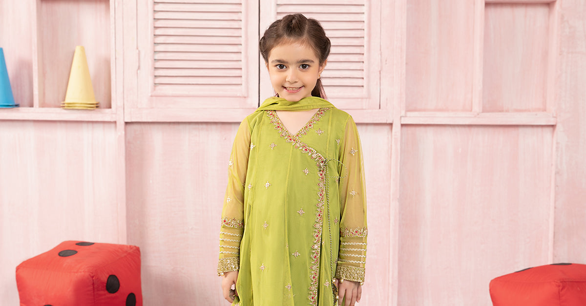 3 Piece Embroidered Net Suit | MKS-PF24-05