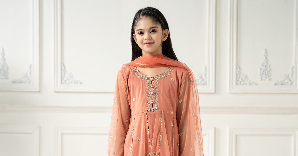 3 Piece Embroidered Polyester Net Suit | MKS-EF25-02